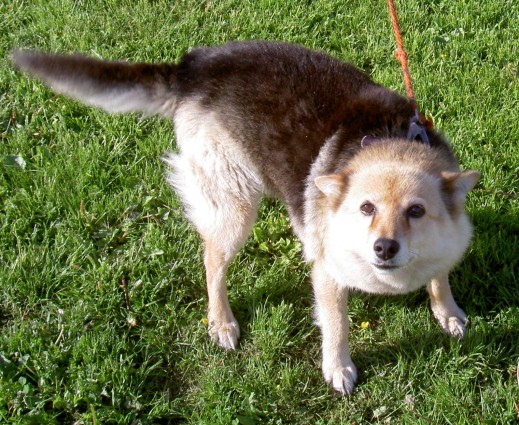 Roope.jpg (115127 bytes)