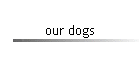 our dogs